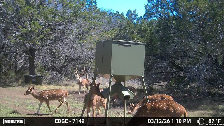 Property Photo:  Tract 3 Elm Pass  TX 78003 