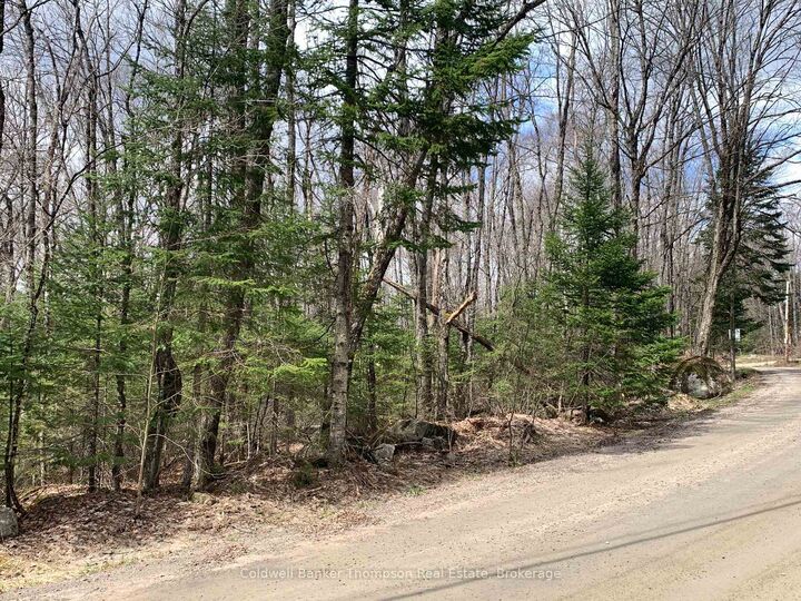 Property Photo:  0 South Horn Lake Road  ON P0A 1Z0 