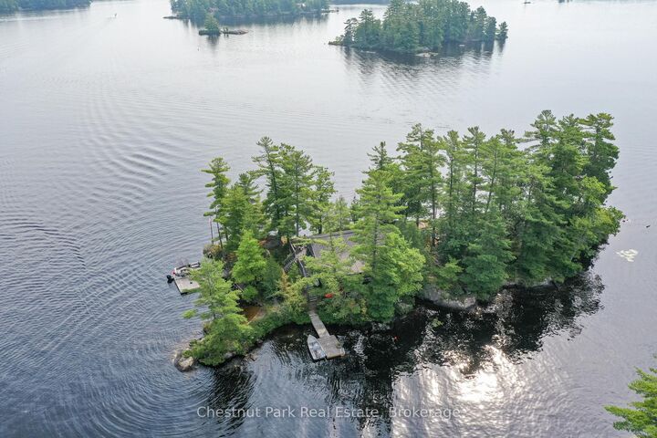 Rose Island Kahshe Lake N/A — photo 1