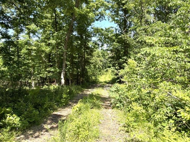 Property Photo:  00 Old Union Road  AR 72434 