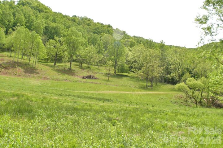 Property Photo:  0 Caney Fork Road  NC 28723 