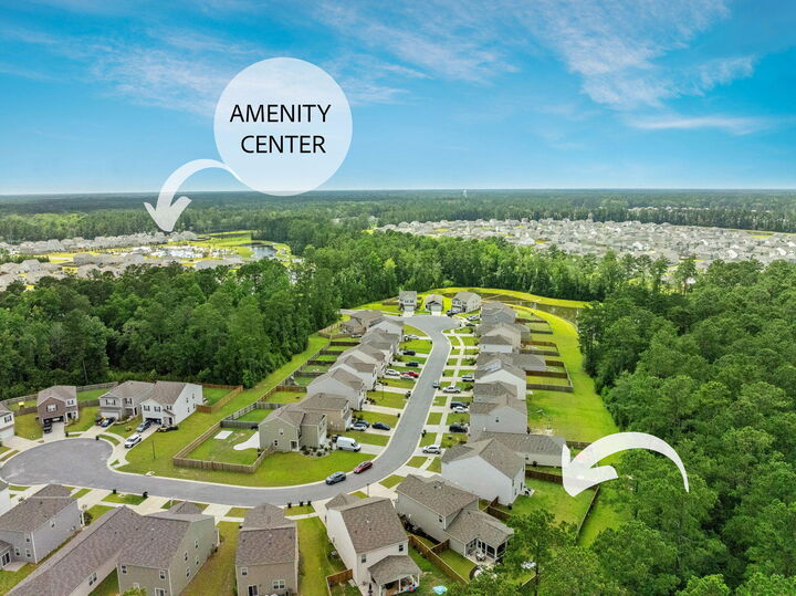 Property Photo:  655 Silver Spruce Street  SC 29486 