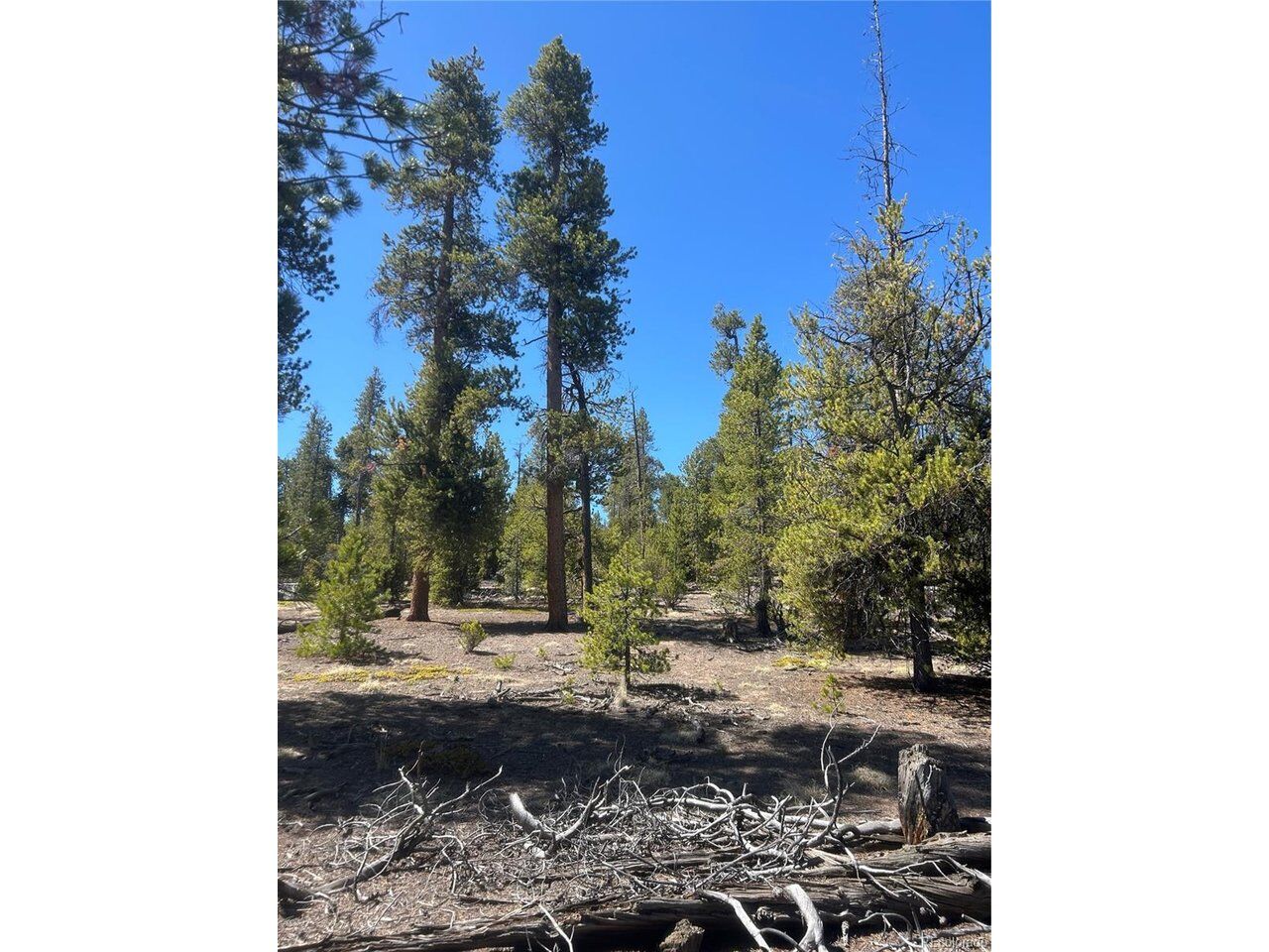 Property Photo:  266 Ponderosa Dr  CO 80461 