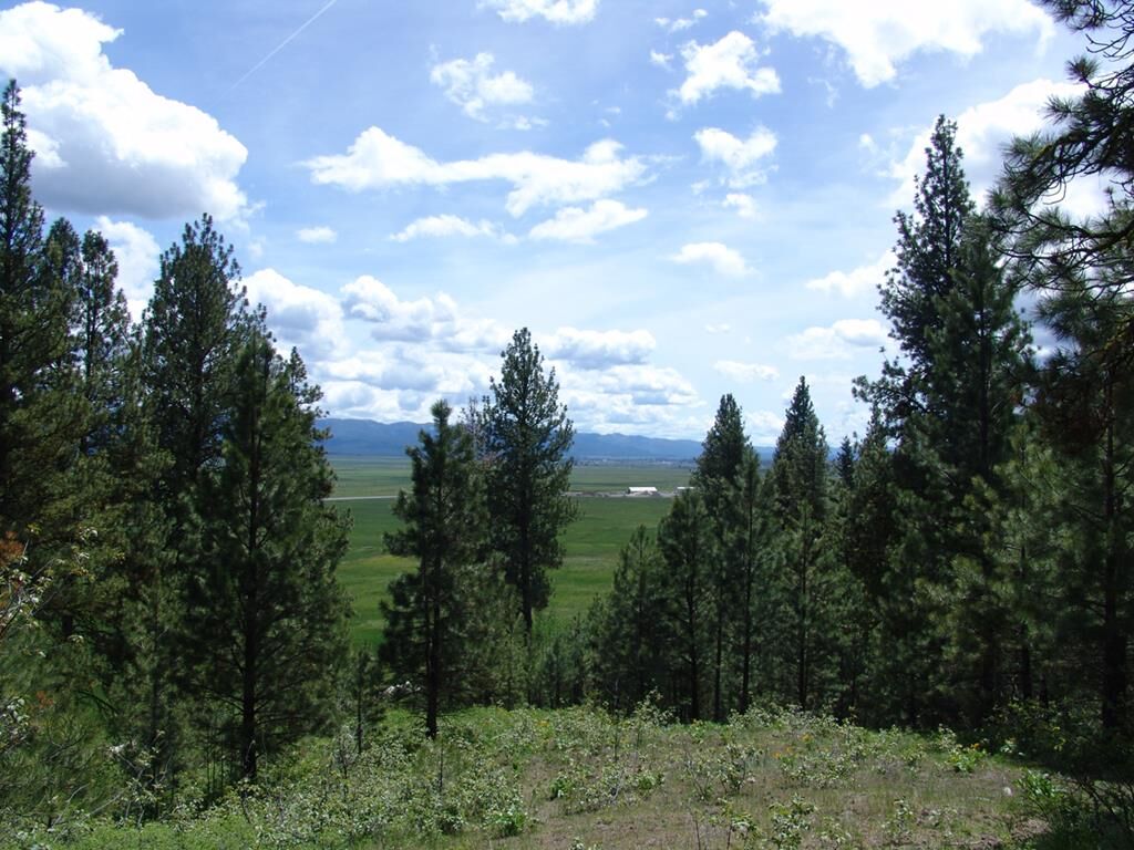Property Photo:  28 Rehn Loop  ID 83611 