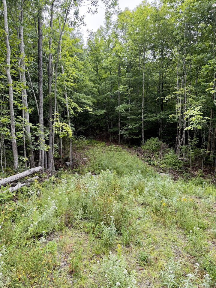 Property Photo: Lot 2 Mooseley Ridge Road ME 04966