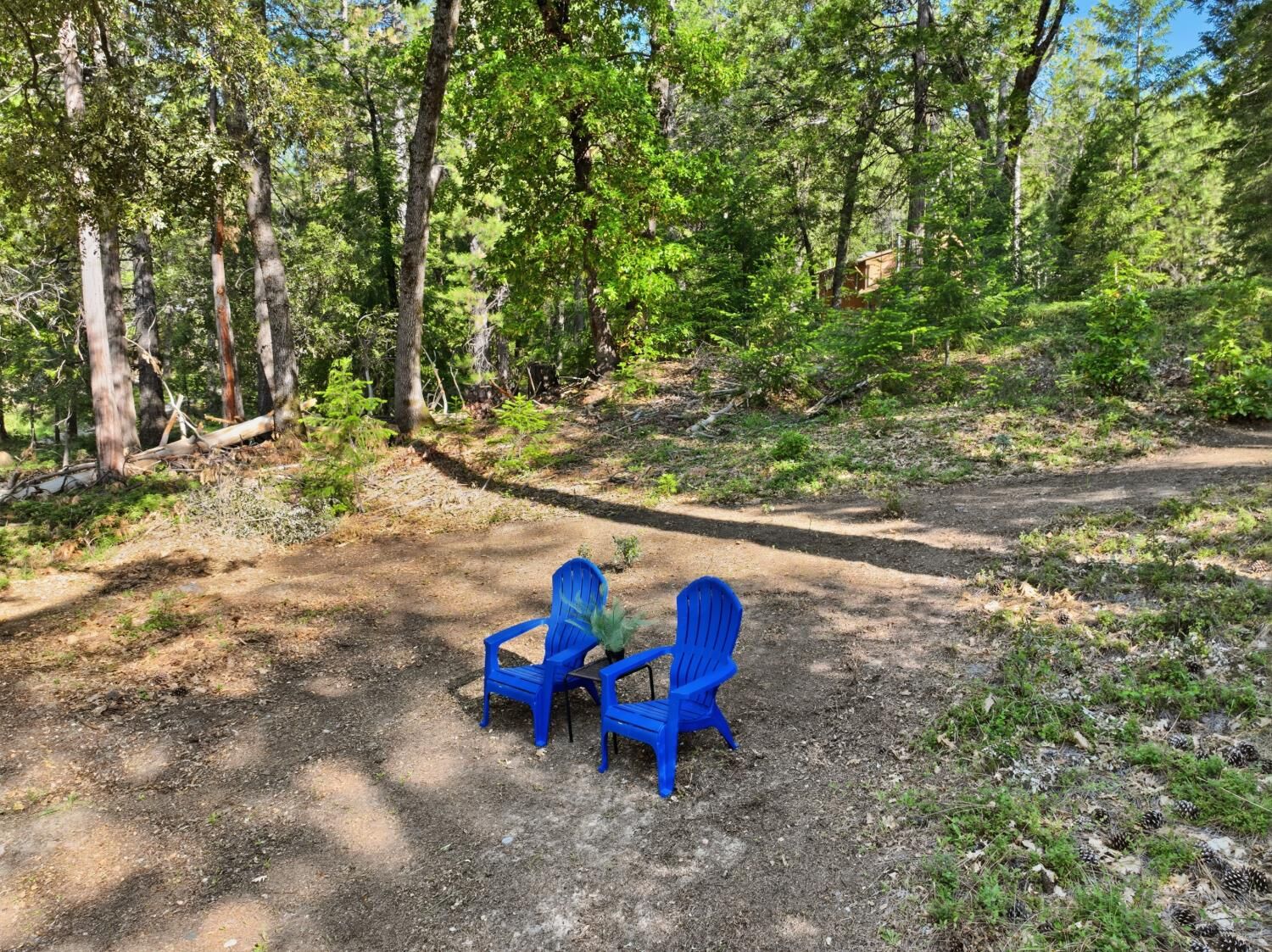 Property Photo:  13466 Yuba Close  CA 95959 