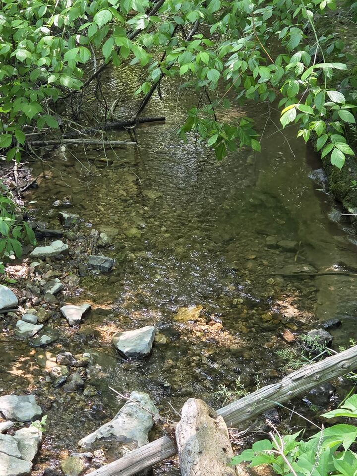 Property Photo: 806 Brandon Hollow TN 37352
