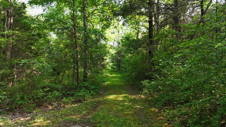 Property Photo:  0 Luke Moser Rd  TN 38401 
