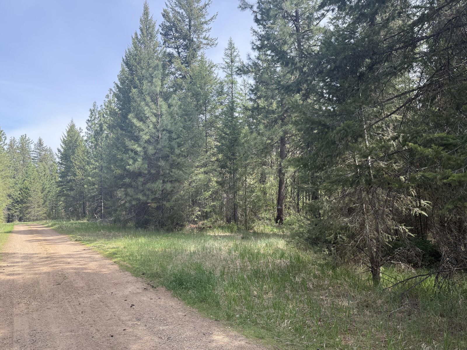 Property Photo: 67 First Thought Loop WA 99146
