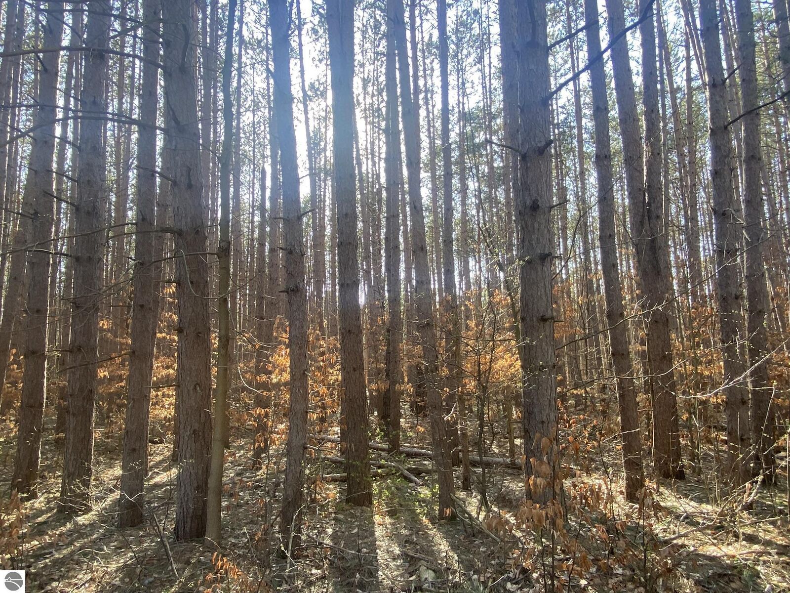 Property Photo:  Deer Run Drive  MI 49601 