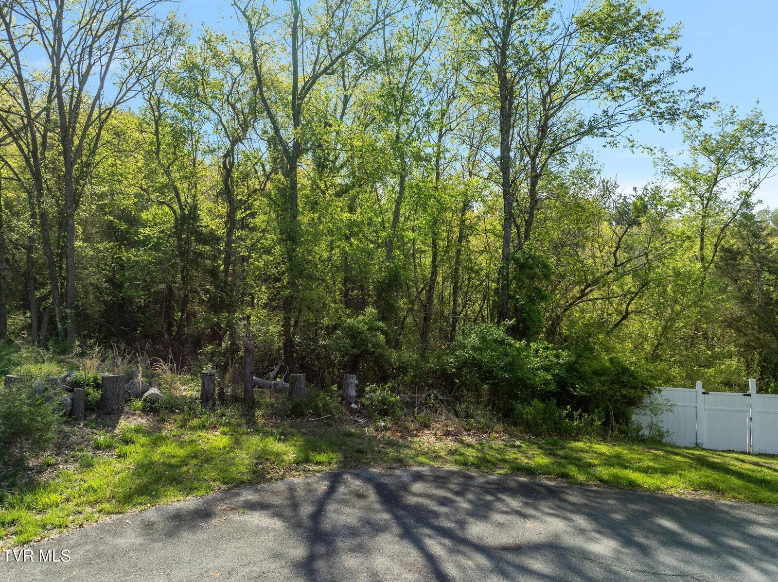 Property Photo:  Tbd Hidden Valley Road  TN 37620 