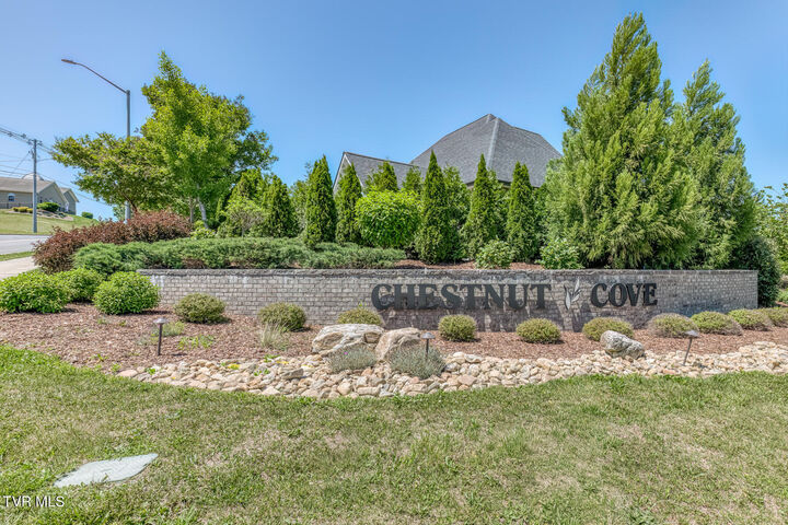 Property Photo:  199 Tanners Cove  TN 37615 
