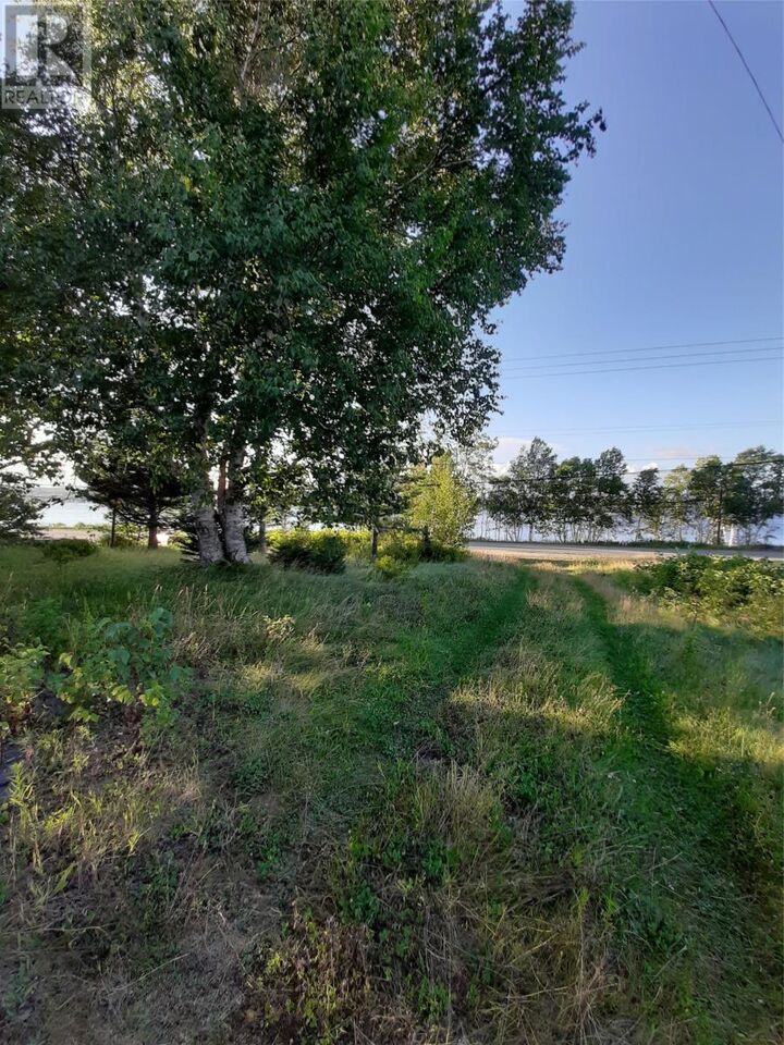 Property Photo:  176 Main Street South  NL A0G 2M0 