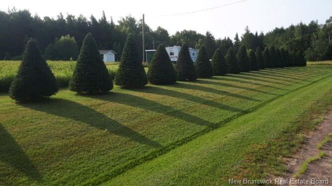Property Photo:  Lot Angel Road  NB E4X 0B3 