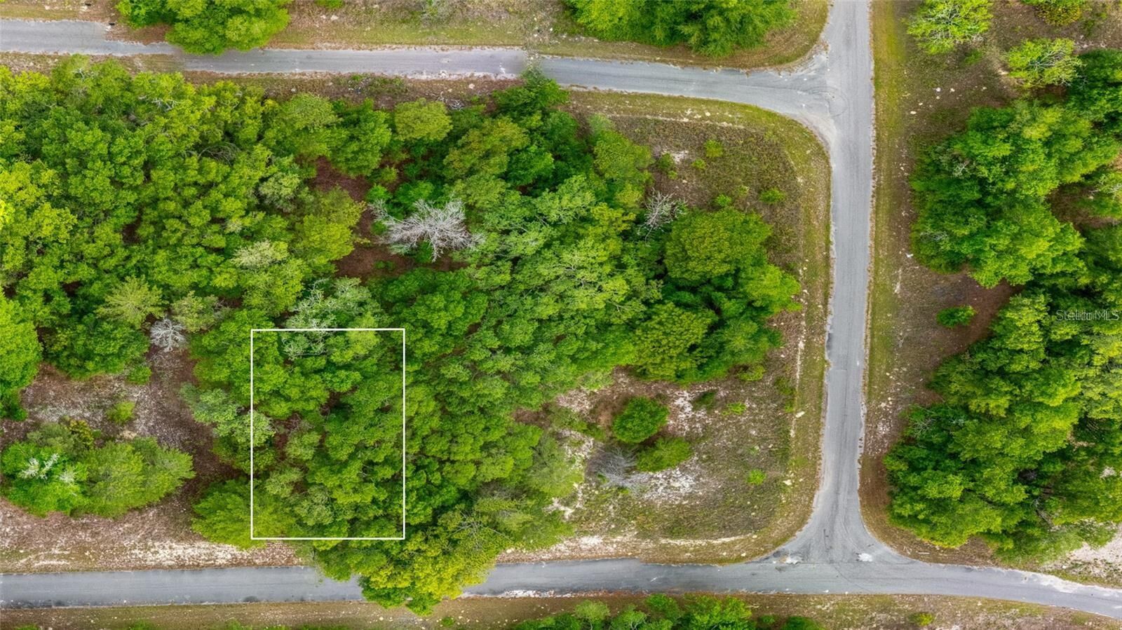 Property Photo:  Magnolia Drive  FL 32179 