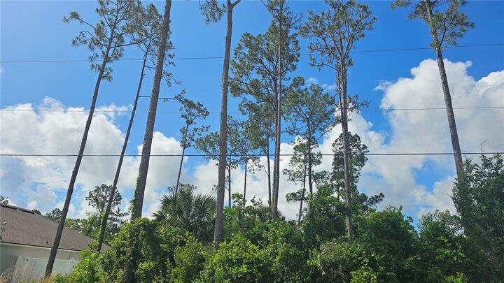 Property Photo: 13 Robin Hood Lane FL 32164