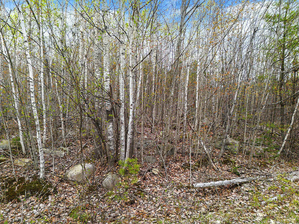Property Photo:  Lot #5 Murdock Place  ME 04917 