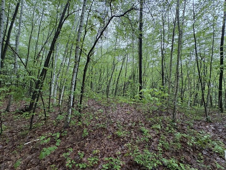 Property Photo:  Tbd Lower Road  MA 01342 