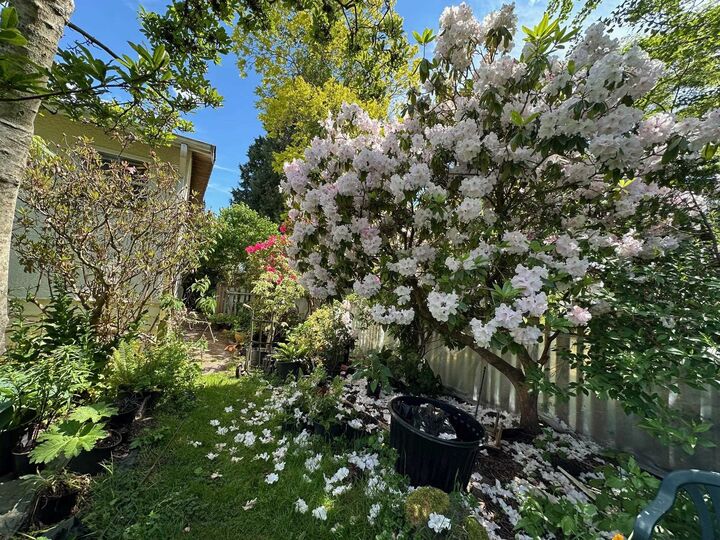 Property Photo: 5278 Belair Drive BC V4M 2E4