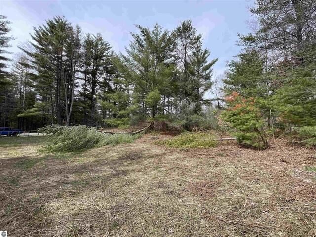 Property Photo:  00 Mackinaw Trail  MI 49655 