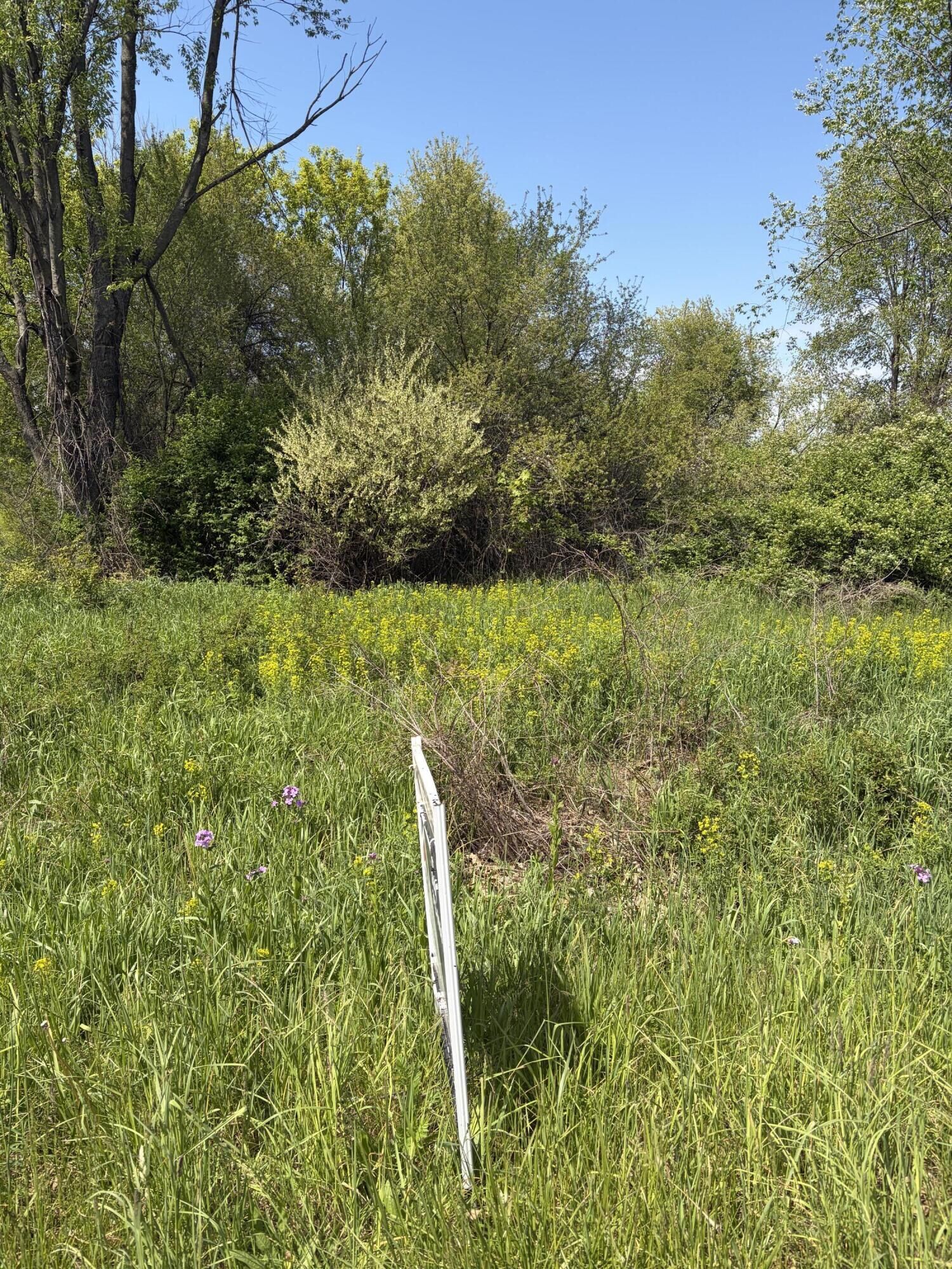 Property Photo: 971 106th Avenue MI 49080