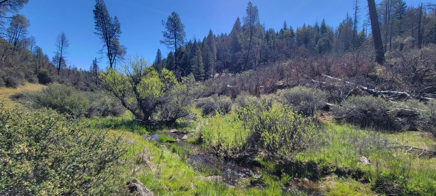 Property Photo:  2400 White Rock Road  CA 96076 