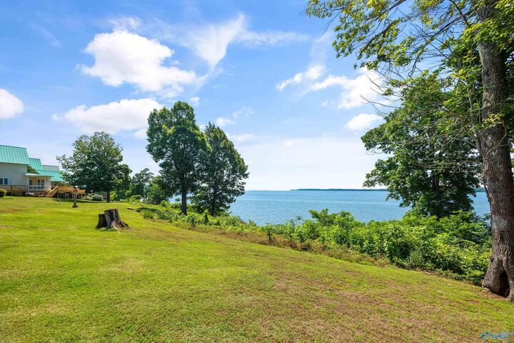 Property Photo:  6388 Turtle Bay Way  AL 35611 