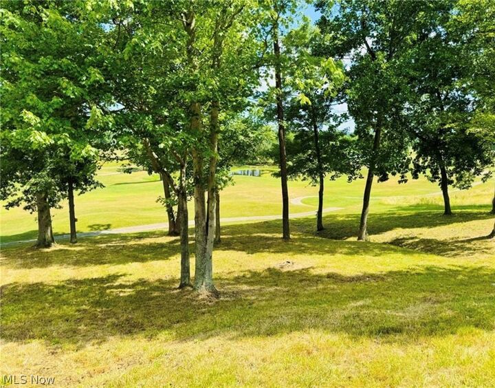 Property Photo:  Woodridge Drive  WV 26150 