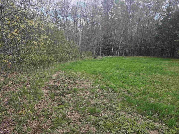 454 Mines Road — photo 1
