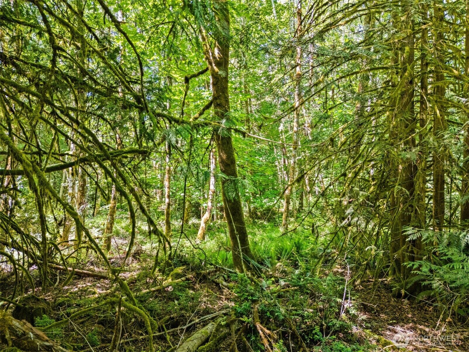 Property Photo: 0 Tr D E Jared Road WA 98584