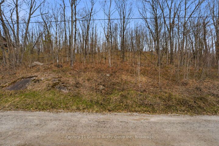 Property Photo:  Pt Lt 6 Brady Lake Road  ON K0M 2K0 