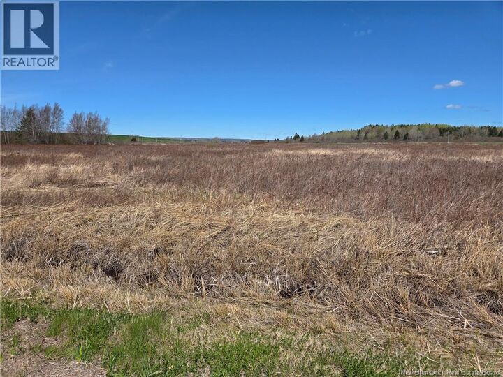 Property Photo:  Lot Anderson Mill Road  NB E4K 3Z2 