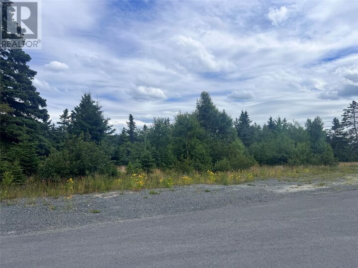 Property Photo:  3 Kent Place  NL A0A 1W0 