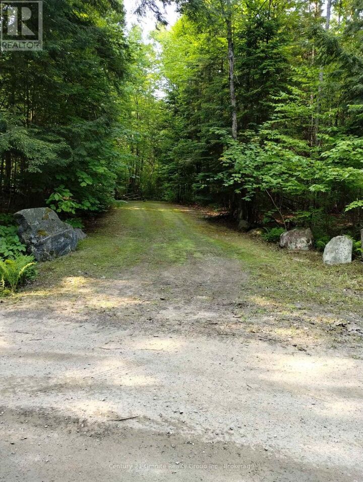 Property Photo:  Lot 10 Loon Lake Road South  ON K0M 1S0 