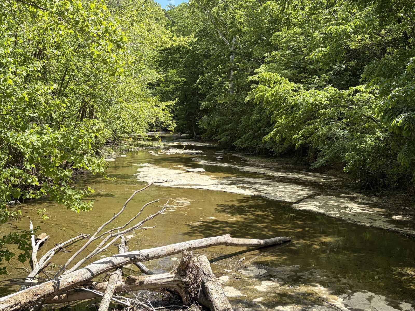 Property Photo:  4570 Pointer Creek Road  KY 42544 