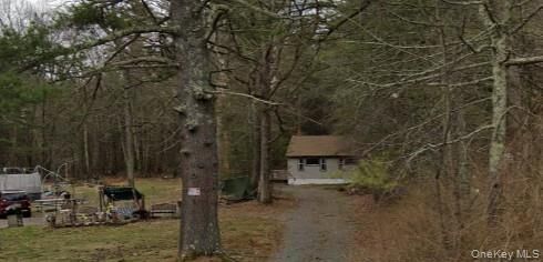 Property Photo:  973 State Route 42  NY 12780 