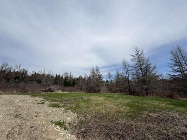 Property Photo:  Lot 4 Holmes Bay Farms Road  ME 04691 