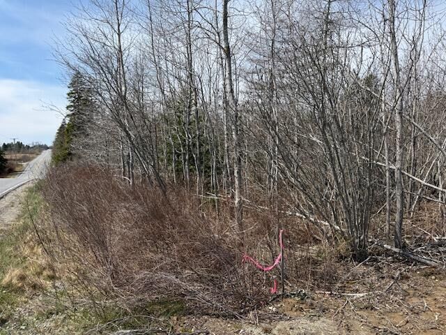 Property Photo:  Lot 2 Holmes Bay Farms Road  ME 04691 