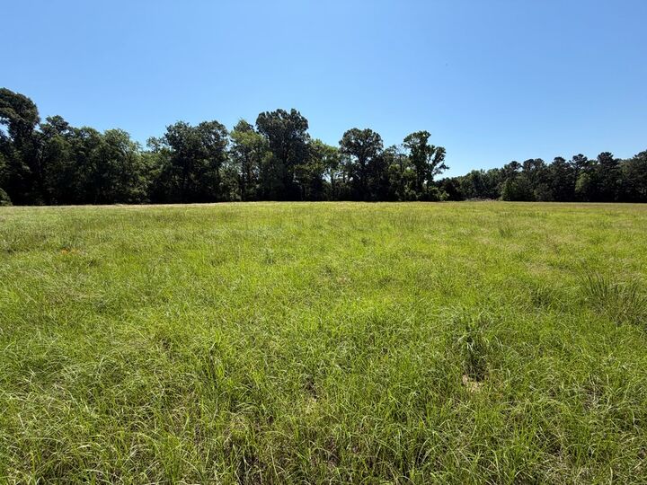 Property Photo:  2199 Fm 1733  TX 75847 