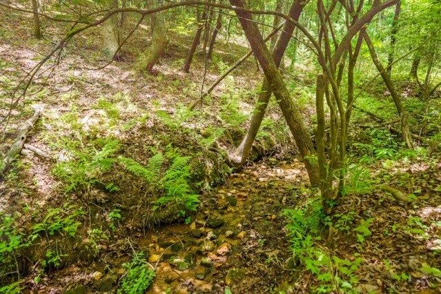 Property Photo:  Lot 32 Oceola Drive  GA 30540 
