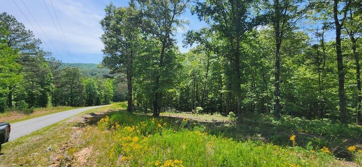 Property Photo:  Lt 90 Barrell Knot Court  GA 30536 