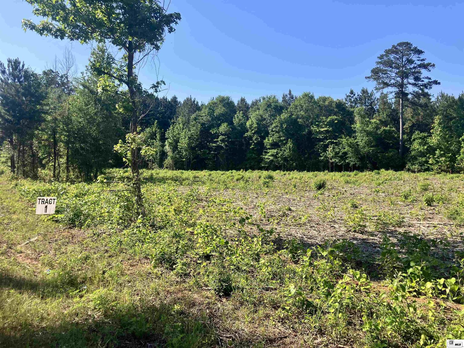 Property Photo:  9014 Lot 5 Highway 80  LA 71275 