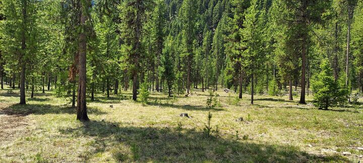 Property Photo:  Nhn (Parcel D) Deer Walk Way  MT 59829 