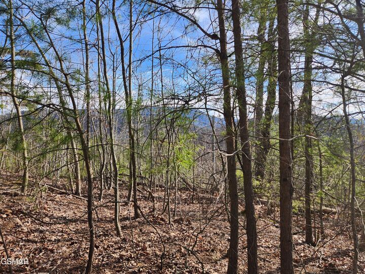 Property Photo:  Lot 46 Feld Wynde Close Way  TN 37862 