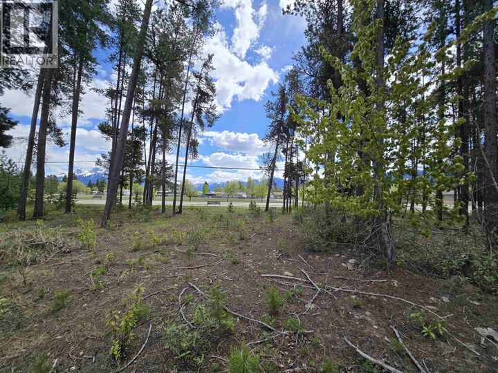 Property Photo:  000 5th Avenue  BC V0E 2Z0 