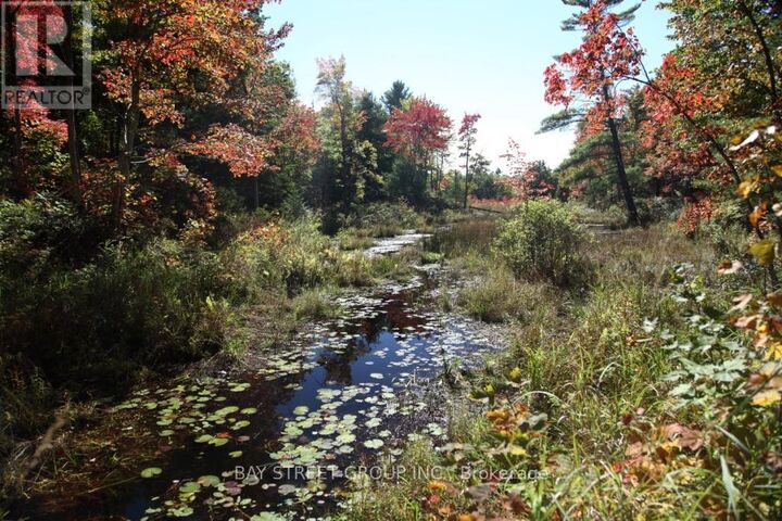 Property Photo:  0 County Road 41 Road South  ON K0H 1Z0 