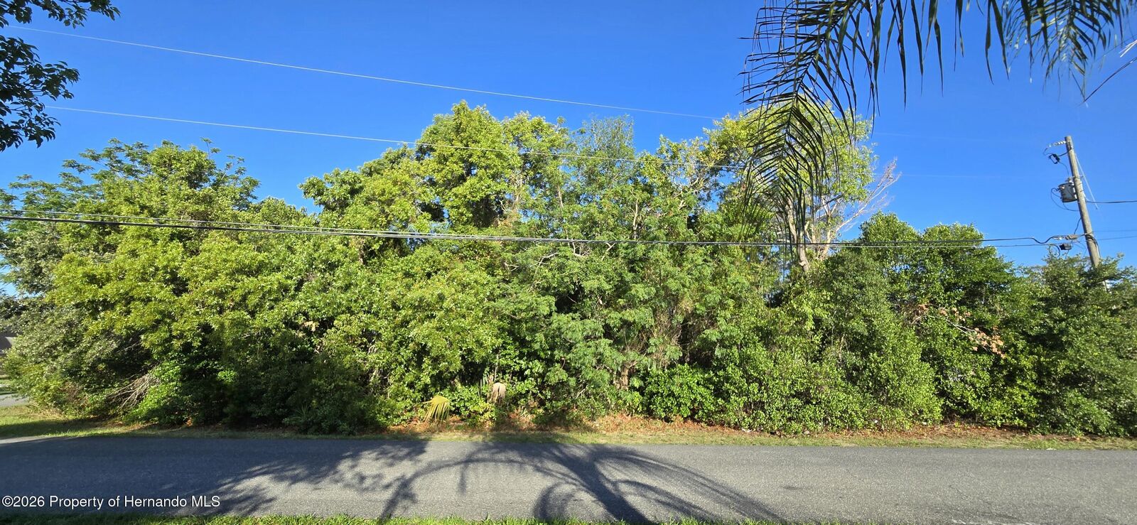 Property Photo:  11121 Captain Drive  FL 34608 