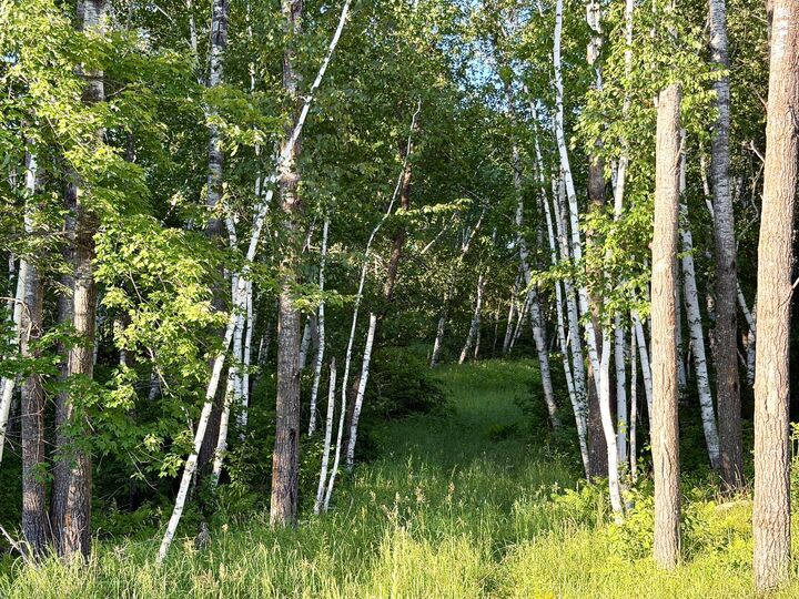 Property Photo:  L17b1 Acorn Ridge Road NW  MN 56601 
