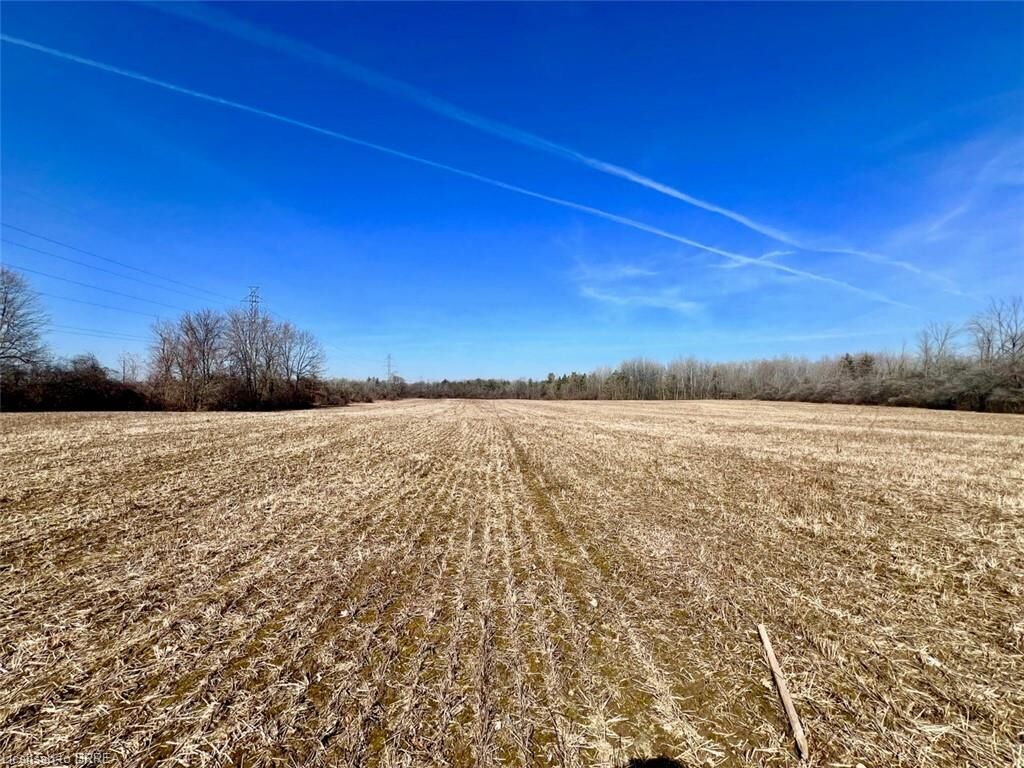 Property Photo:  2155 Main Street  ON N1R 5S7 