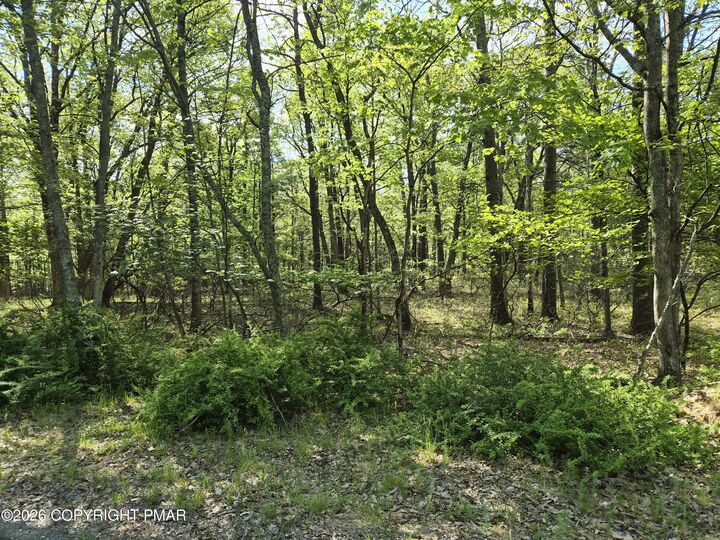 Property Photo:  Lower Seese Hill Rd Road  PA 18325 
